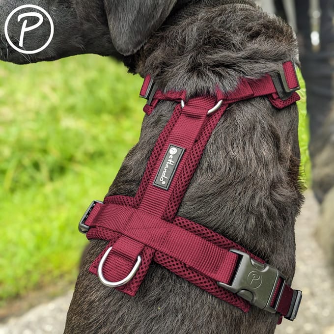Petlando Mesh Y-Harness Comfort - Bordeaux