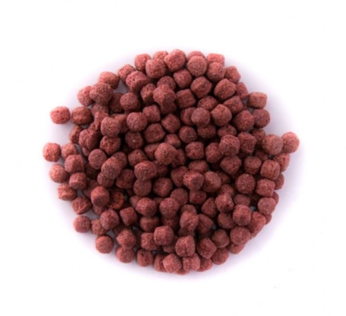 Oswalt Astax Pellet 6mm - 5KG - Vissenvoer