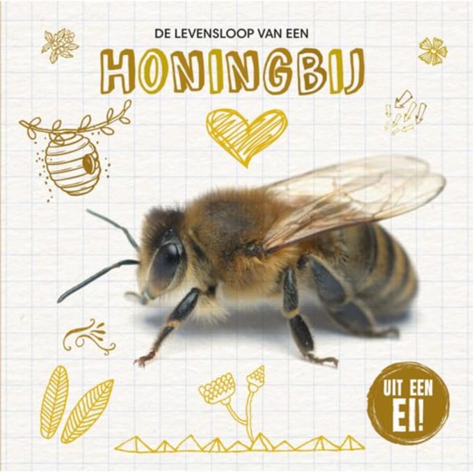 De Levensloop Van De Honingbij - Uit Een Ei! - Grace Jones