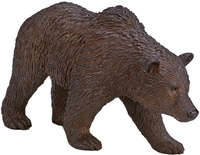Mojo - Wildlife Grizzly Bear - 387216