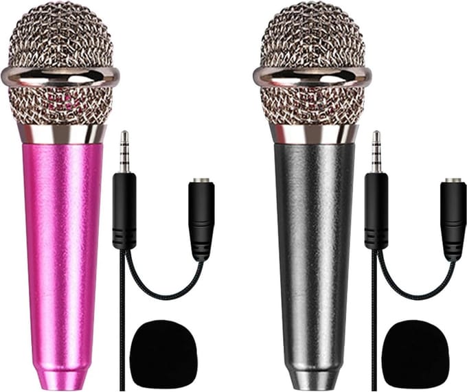 Mini Microfoons voor Mobiele Telefoons en Laptops - Draagbare Karaoke Microfoons (2 stuks)