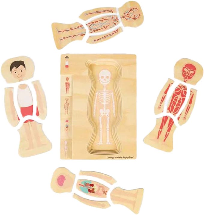 Bigjigs Houten Anatomiepuzzel - Jongen, 26st.
