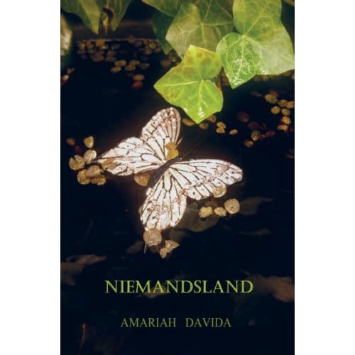 Niemandsland - Amariah Davida