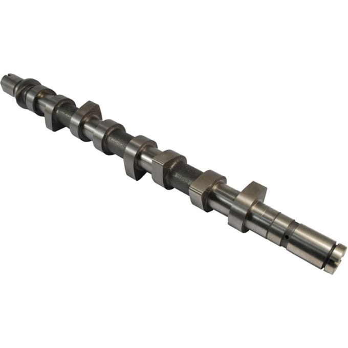 Nokkenas  AE CAM736