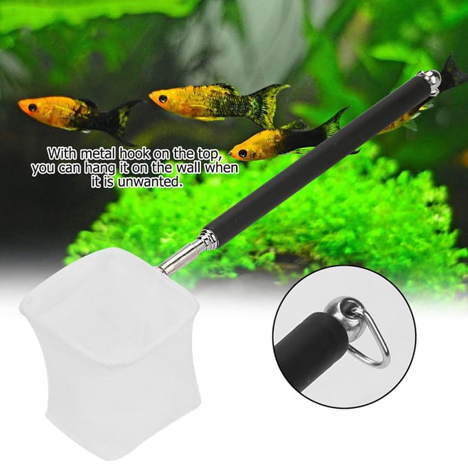Verstelbare Mini Visnet Stang voor Aquarium Tank Garnalen 20-57.5cm Uitschuifbaar(Zwart Vierkant) white