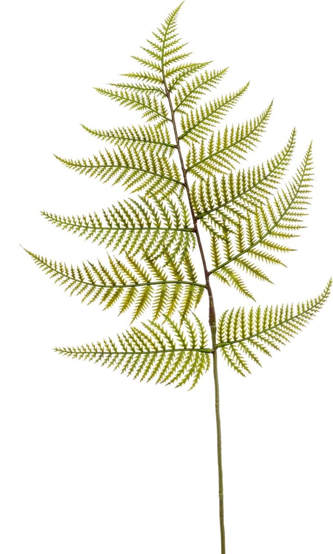 Emerald - Kunsttak Varen 80cm - Kunstplant voor binnen