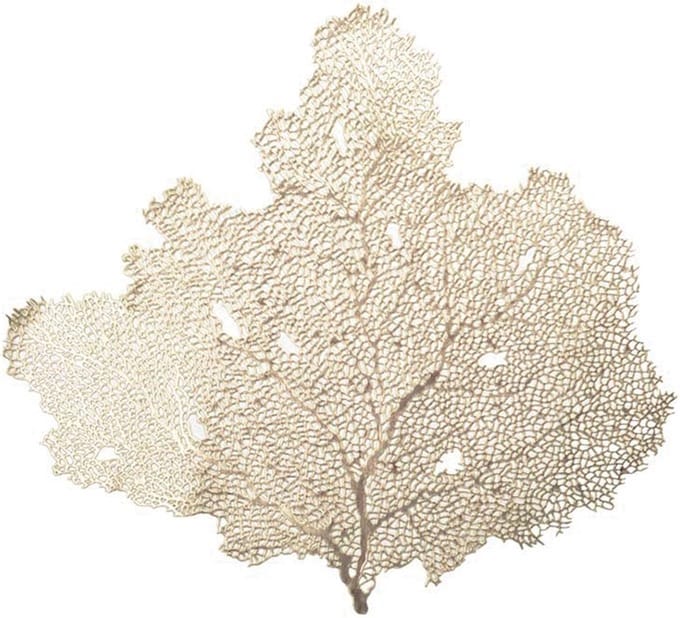 GOUDEN BOOM PLACEMAT 2 stuks