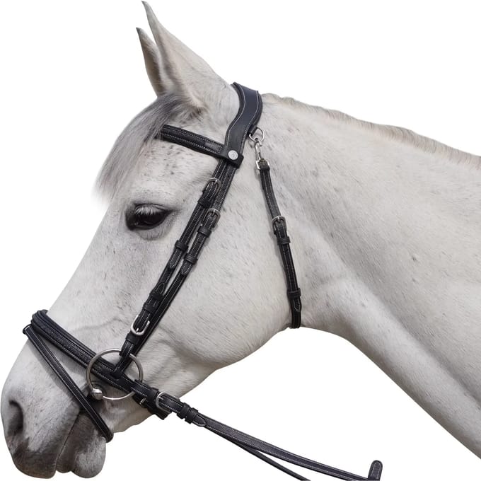Hoofdstellen voor paarden Flags&Cup Aachen