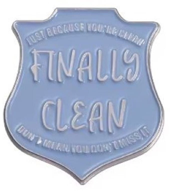 Pin Broche - enamel pin - kledingspeld - Taylor finally clean