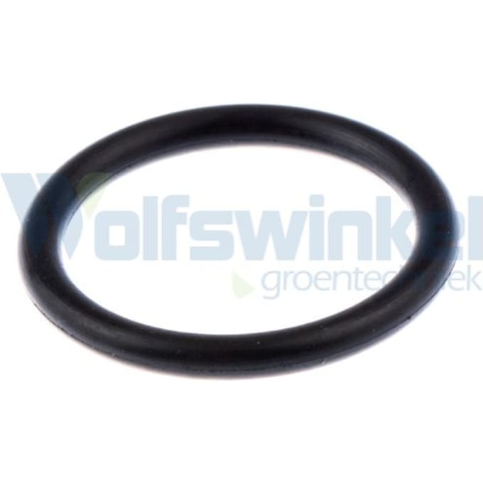 O-ring