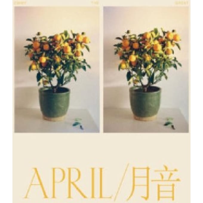 Emmy The Great - April (LP)