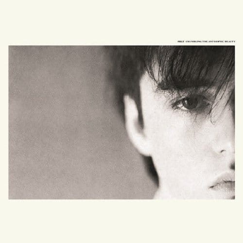 Crumbling The Antiseptic Beauty (Deluxe Remastered Gatefold Sleeve Vinyl Edition)