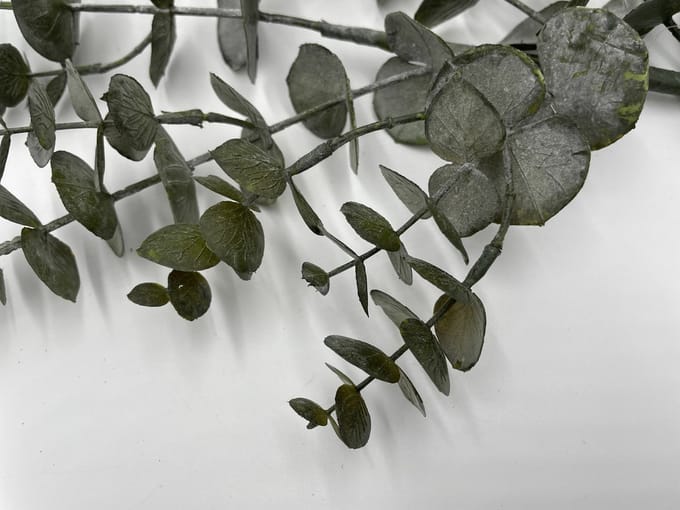 Kunstplant Tak Eucalyptus | Groen | 80 cm