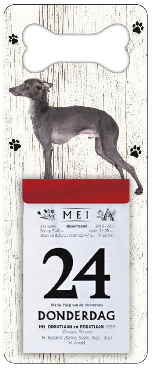Scheurkalender 2027 Hond: Italiaanse windhond