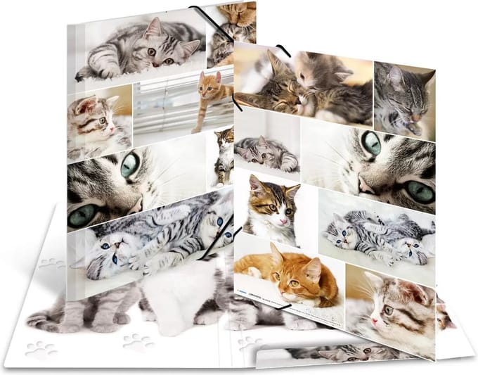 HERMA Elasticated folder A3 cardboard Katten