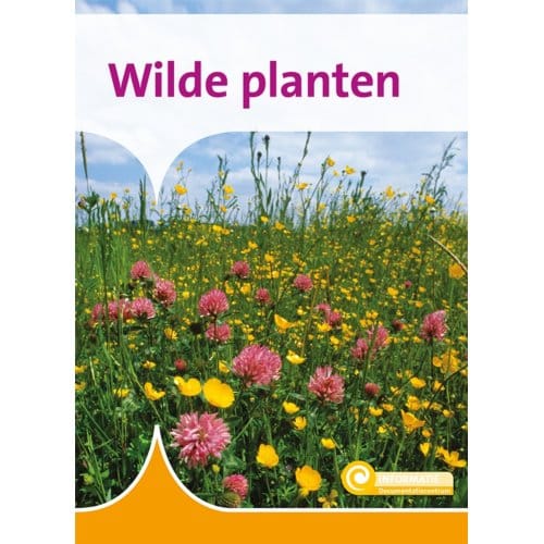 Wilde Planten - Informatie - Geert-Jan Roebers