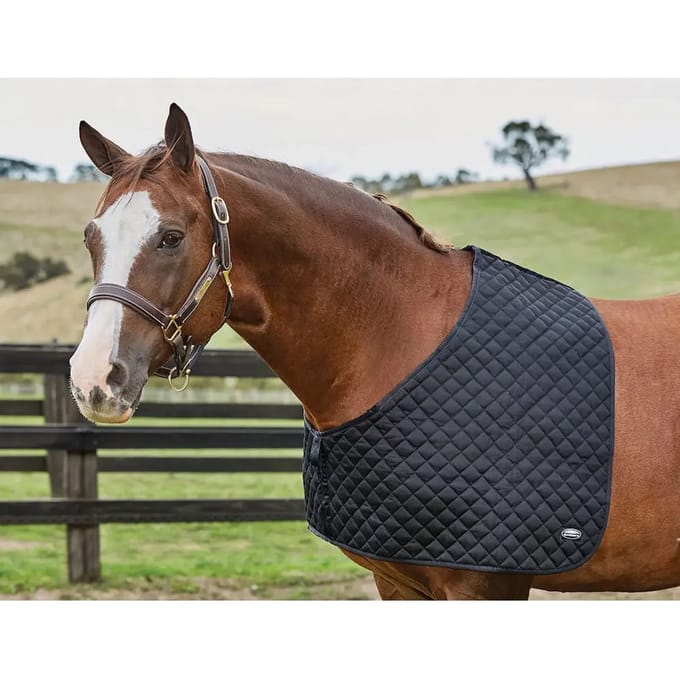 Schouderbeschermer voor paarden Weatherbeeta Deluxe