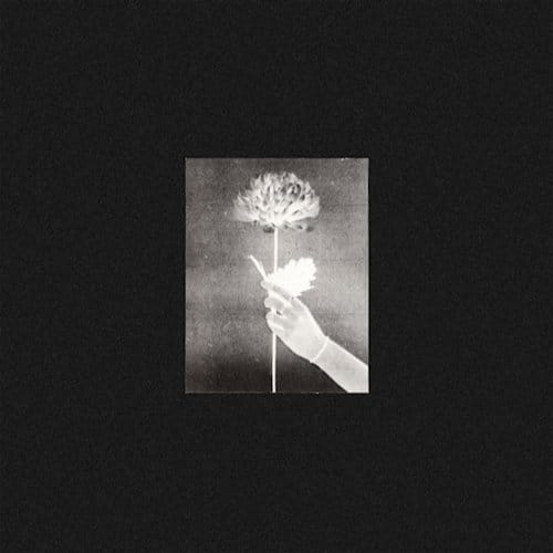 White Flowers - Day By Day (CD)