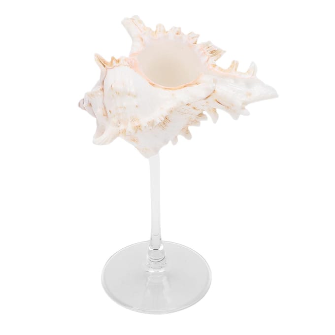 Schelp Wijnglas Elegant Uniek Creatief Drinkbeker Cocktail Dranken Beker voor Bruiloft Feest Bar Type 2
