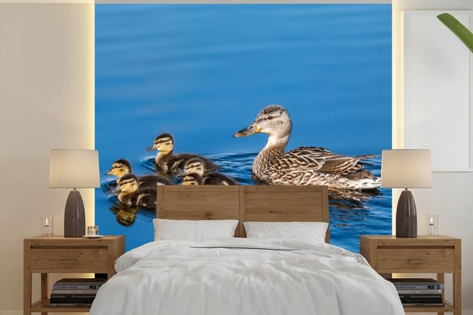 Behang - Fotobehang Eend - Water - Vogel - Bruin - Breedte 240 cm x hoogte 240 cm