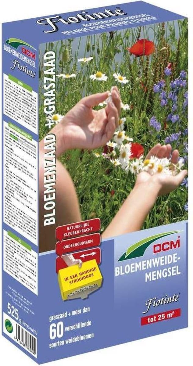 DCM FIOTINTE 500+25G