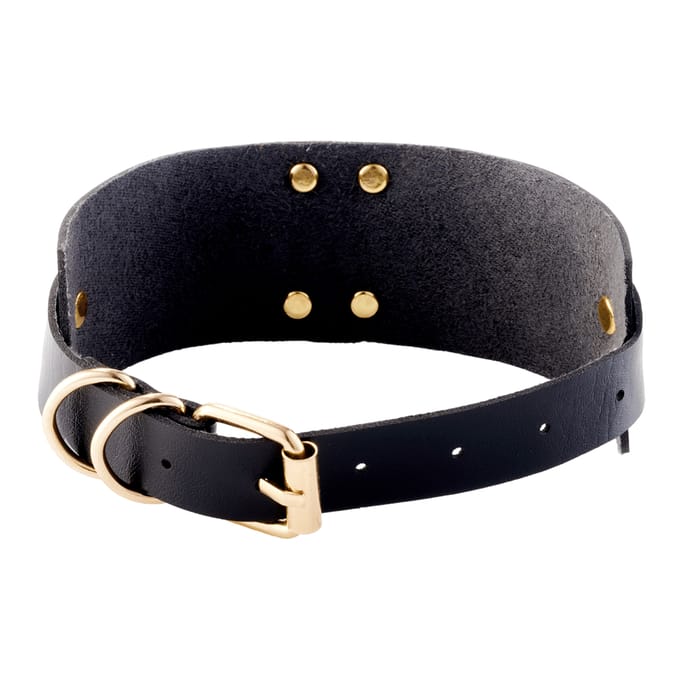 Kinky Diva – Lederen Collar Met O-Ring - Zwart en Goud