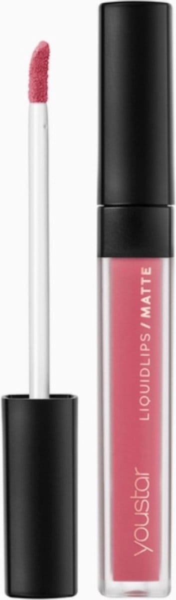Youstar Matte Lipstick 01 Wild Rose 6ml