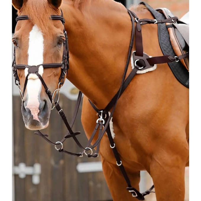 5-punts jachthalsband voor paarden Premier Equine Invorio