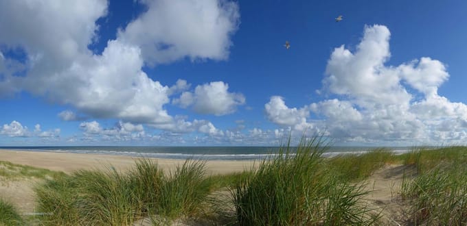 Fotobehang Duinen in Vlieland 250 x 260 cm - € 175,--