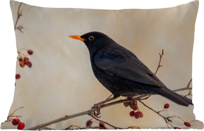 Buitenkussens - Tuin - Merel - Vogel - Takken - Bes - Rood - 50x30 cm