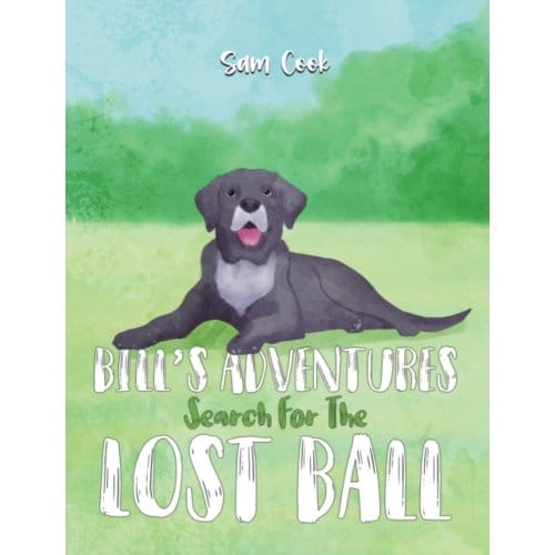 Bill’s Adventures: Search For The Lost Ball - Sam Cook
