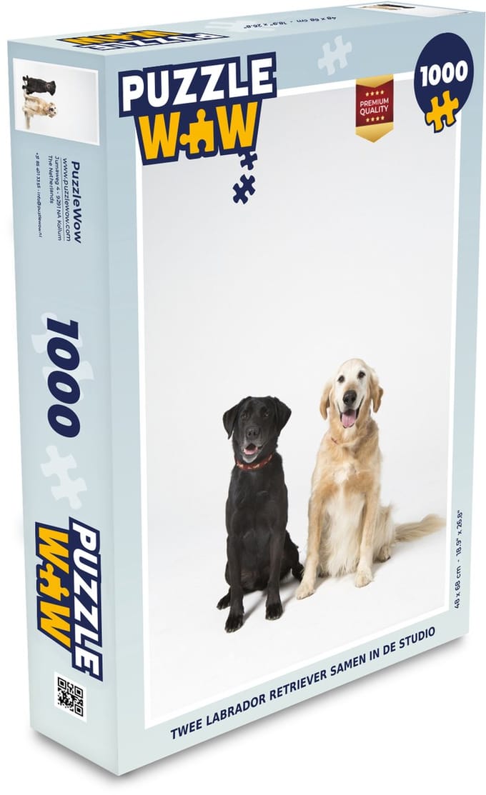 Puzzel Twee Labrador Retriever samen in de studio - Legpuzzel - Puzzel 1000 stukjes volwassenen