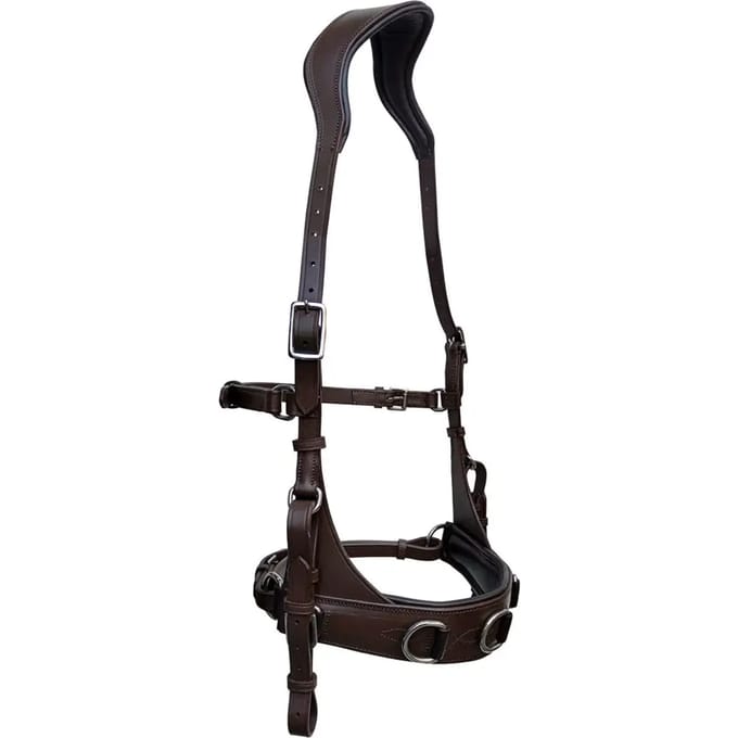 Paardenbox Zaldi AZB 822