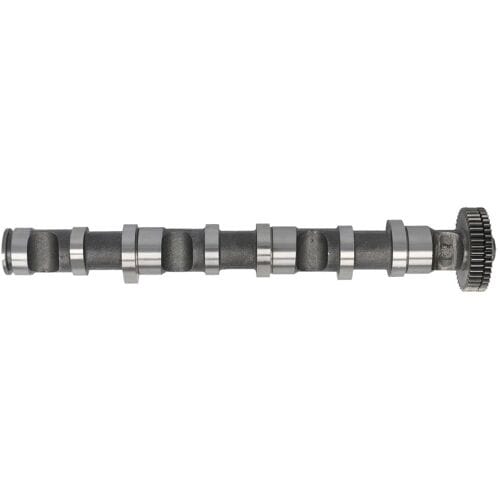 Nokkenas  FRECCIA CM05-2188