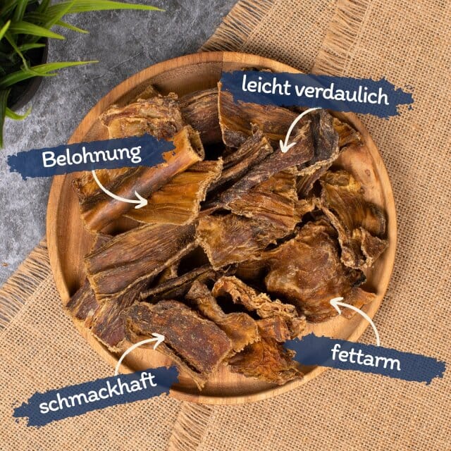 5 kg Lyra Pet® gedroogde vleeschips