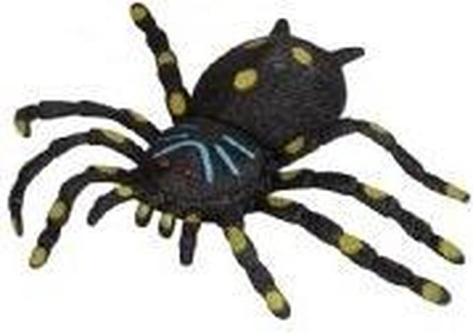 Horror nep decoratie spin Webly 13 cm - Halloween spinnen versiering - Elastische spin met lange poten