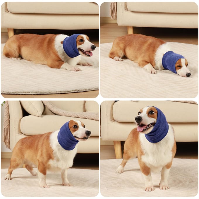 Cache-oreilles cache-cou pour chien, pour le toilettage du bruit, l'anxiété, apaisant Large gris