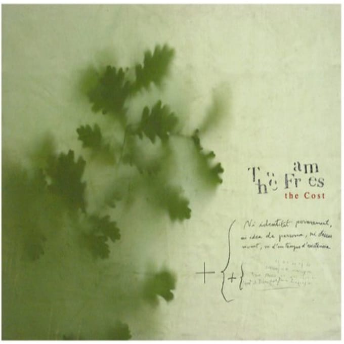 Frames - The Cost (CD)