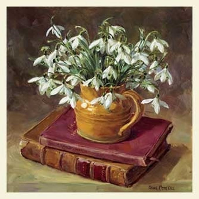 Double card with env. Snowdrops with books 15x15cm