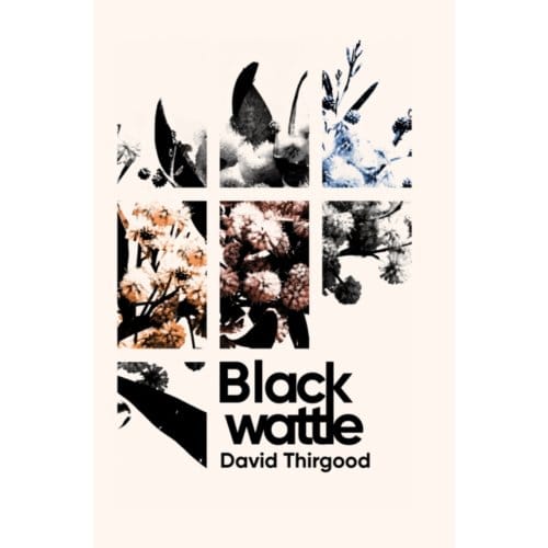 Blackwattle - David Thirgood