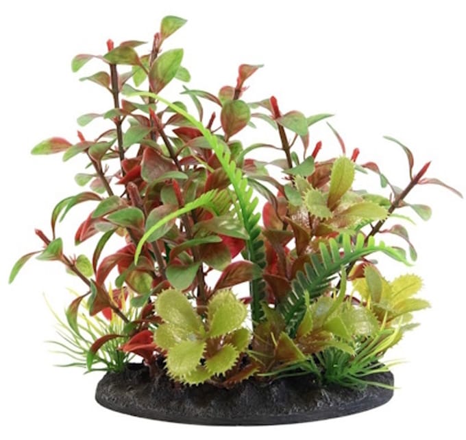 SuperFish Deco Plant S NR. 2