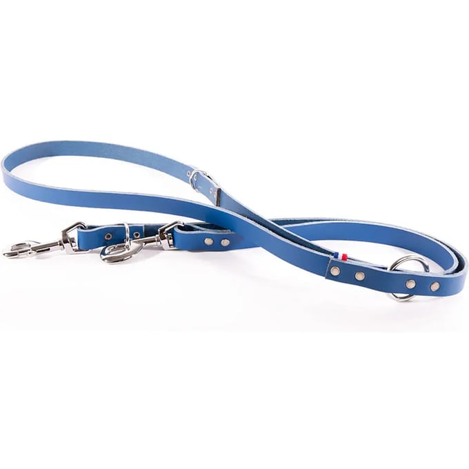 Multikleuren leren hondenriem Martin Sellier 499