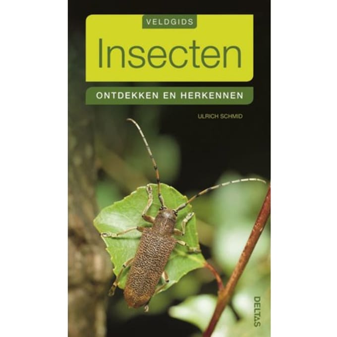 Insecten - Veldgids - Ulrich Schmid