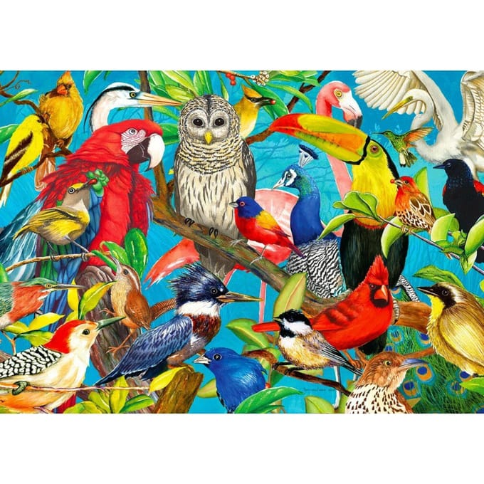 Enjoy Puzzle puzzel Federn über Federn - 1000 stukjes puzzelplezier.