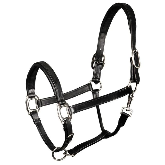 Gewatteerd lederen halster voor paarden Harry's Horse