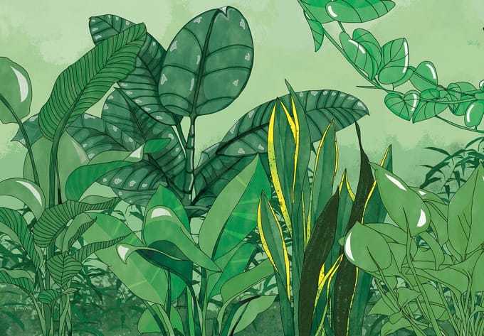 Fotobehang Jungle Bladeren Monstera – Posterbehang – 368 x 254 cm - Groen