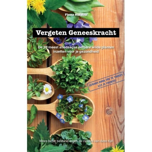 Vergeten Geneeskracht - Fiona Hofstra