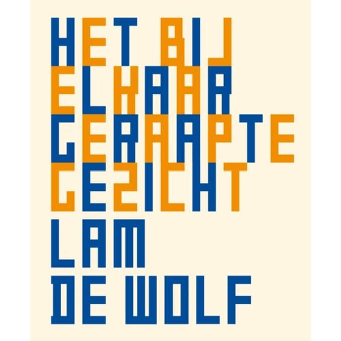 Het Bij Elkaar Geraapte Gezicht - Lam de Wolf