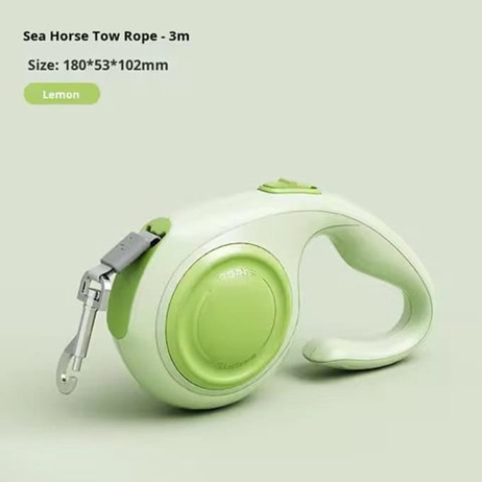 Hondenriem - 3M Uitschuifbare– Duurzame Retractable Leash voor Kleine en Middelgrote Honden