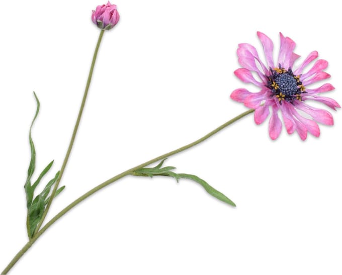 Silk-ka - Kunstbloem - margriet - roze - H19 cm - 2 stuks